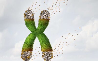 Pourquoi vieillissons-nous ? Ce que nous révèlent les télomères